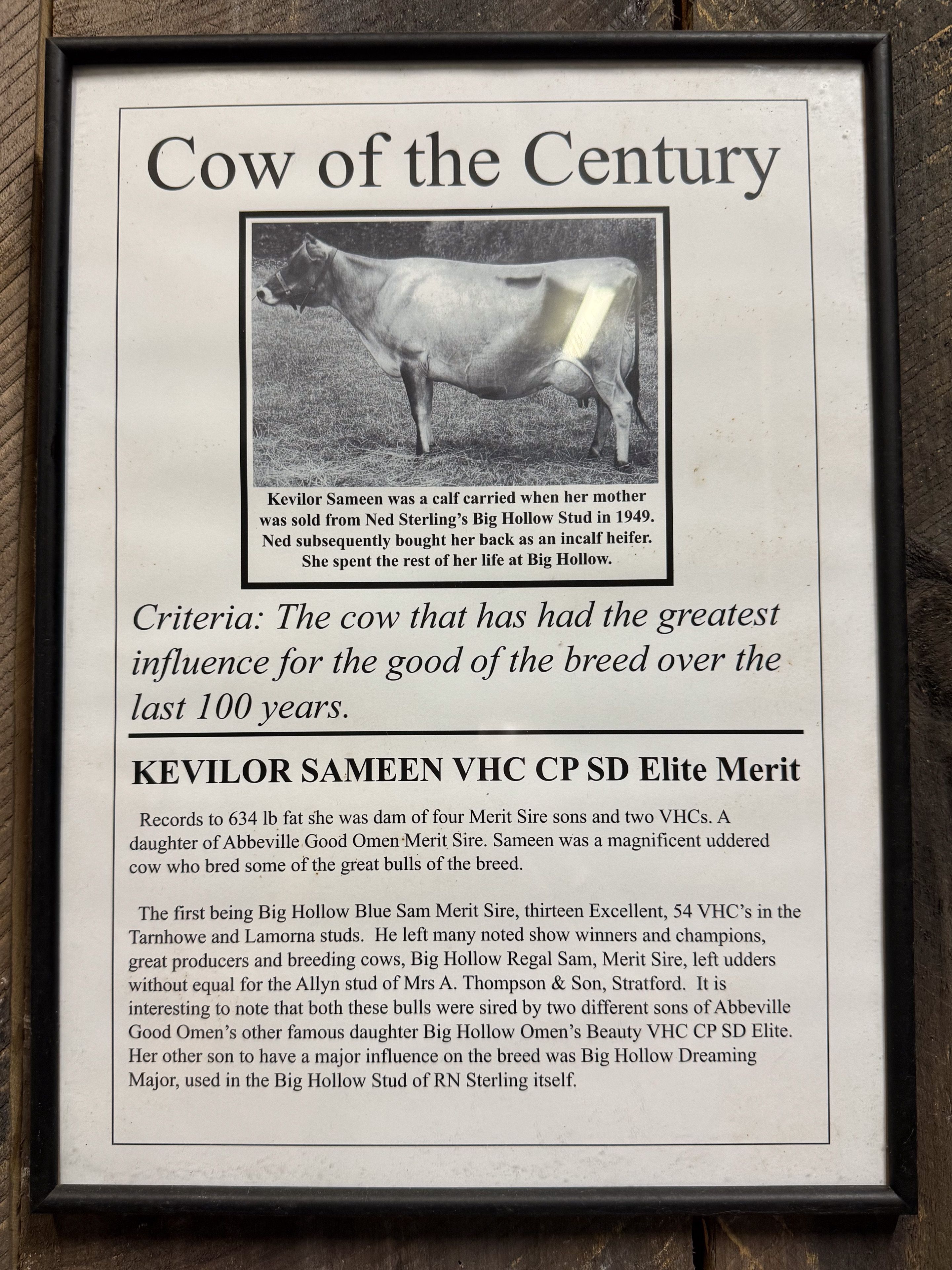 From the Kauri Museum