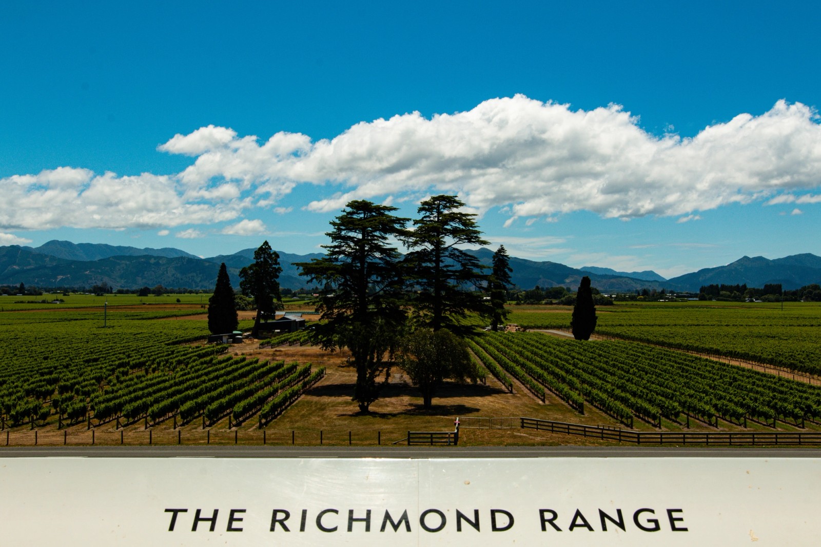 The view from the restaurant at Wither Hills wines in Marlborough, New Zealand
