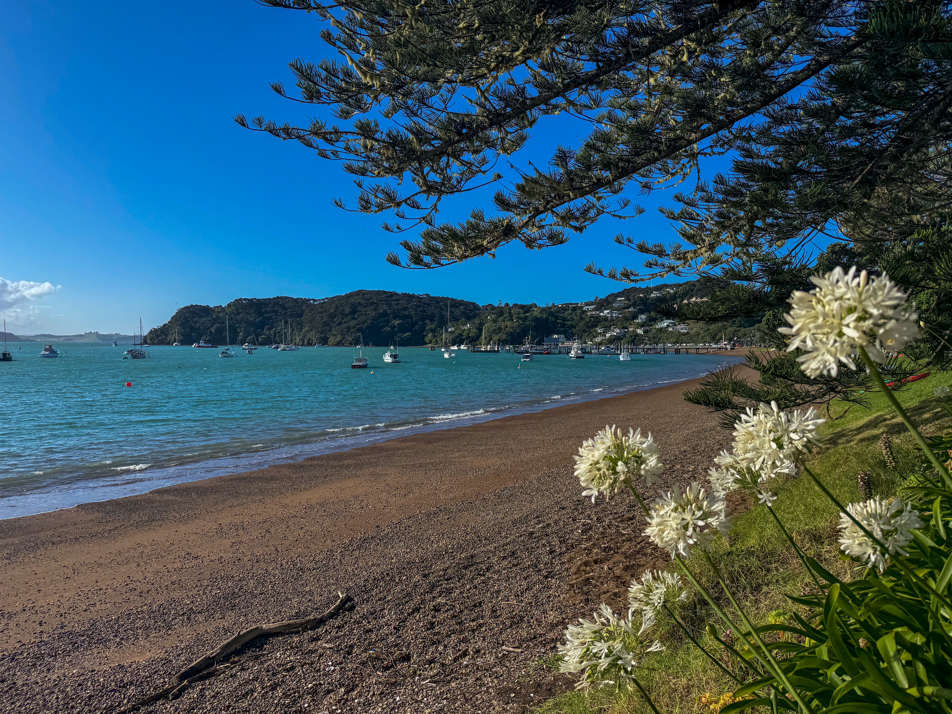 The harbor in Russell