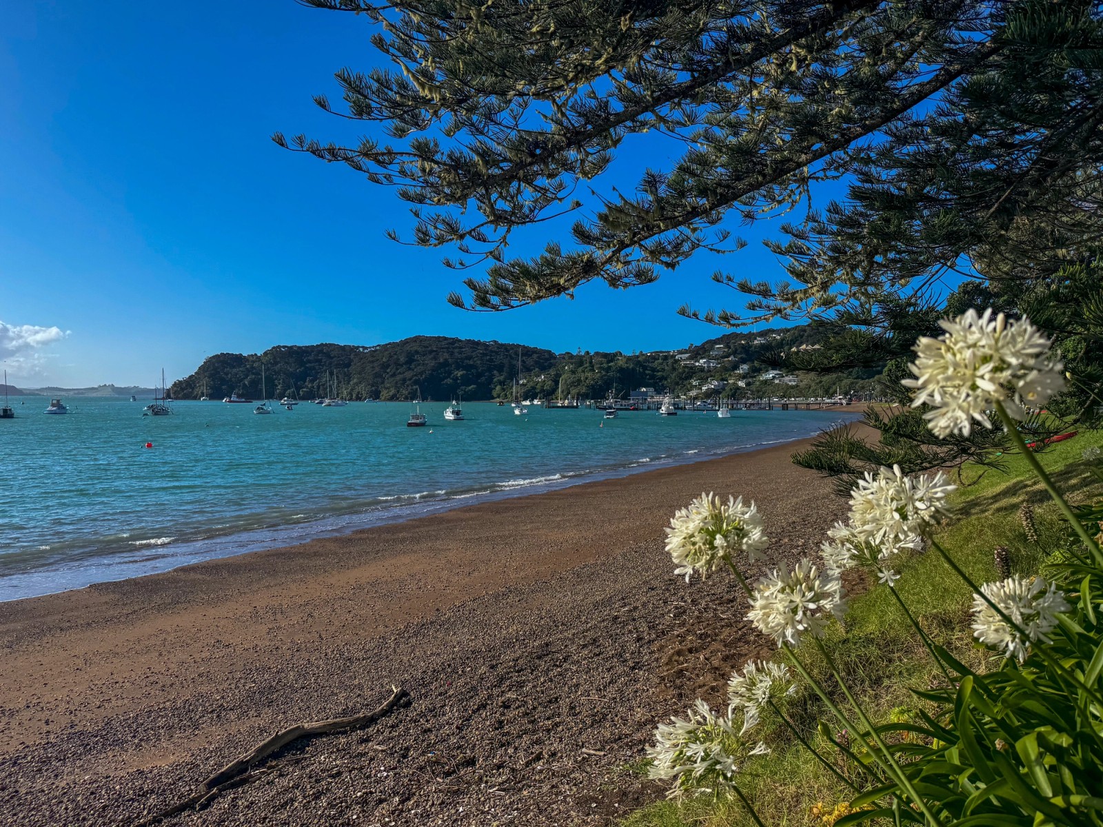 The harbor in Russell