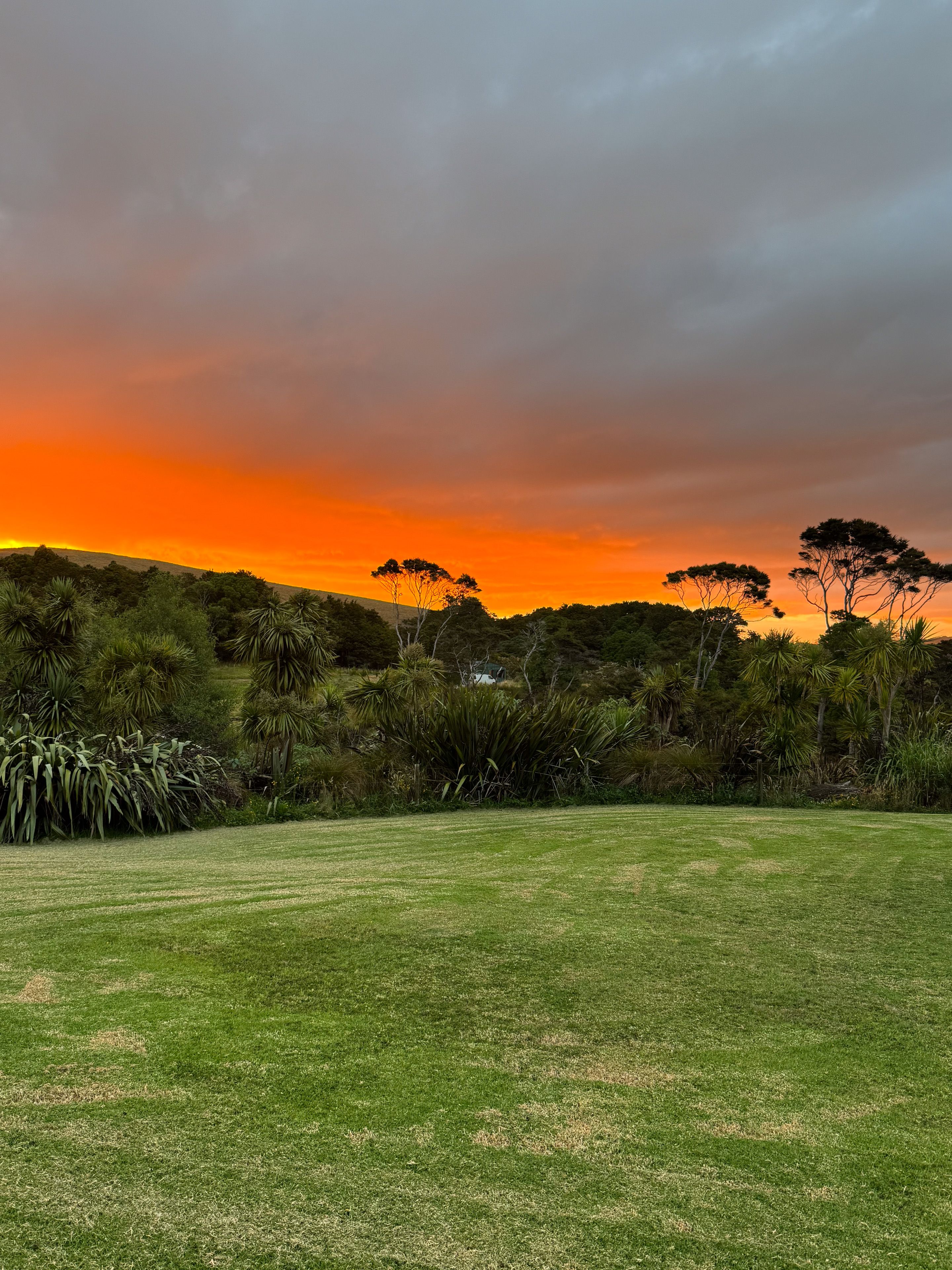 Fiery sunset in Kaiwaka