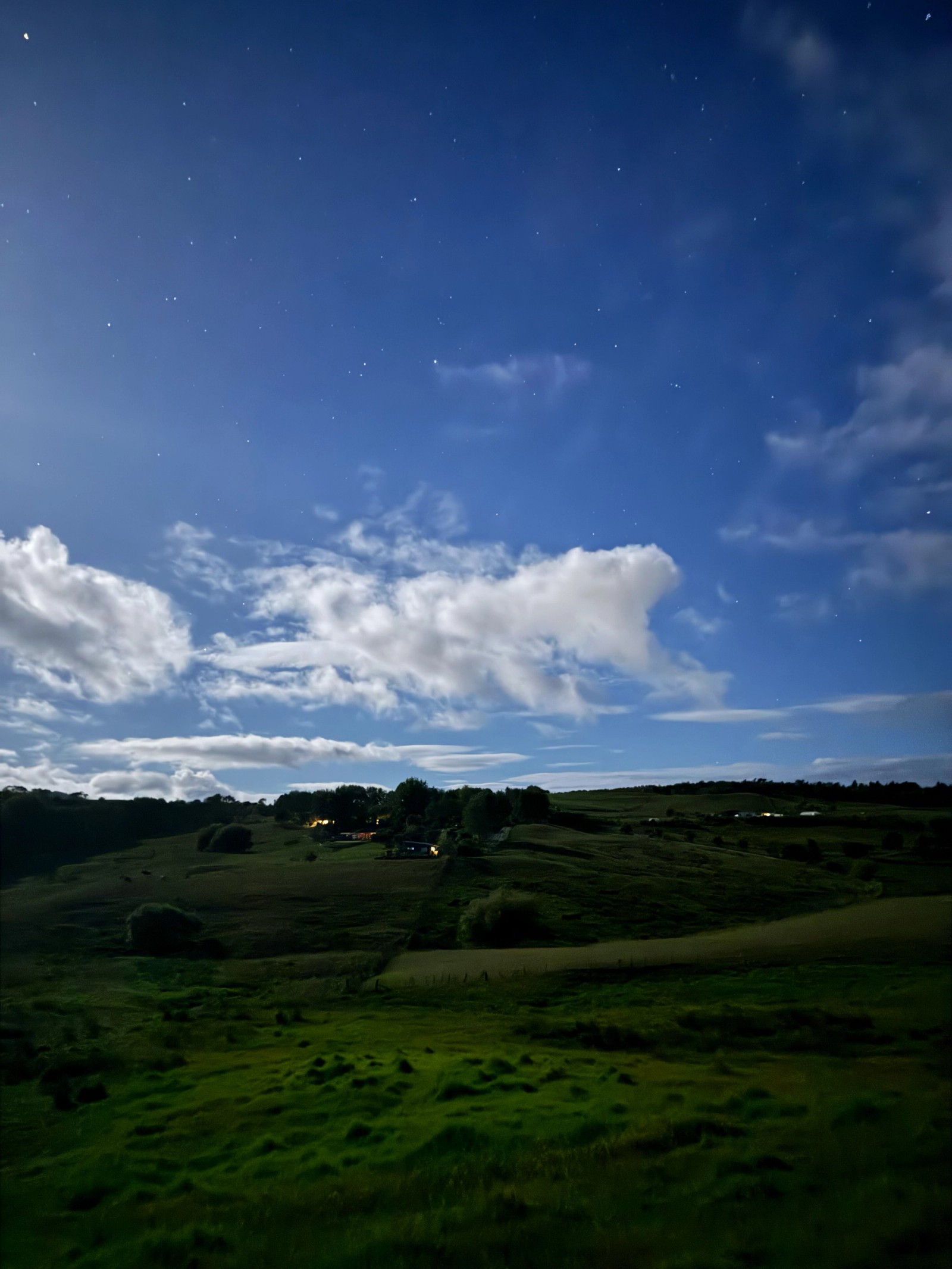 Not from Hobbiton, New Zealand is just like this everywhere