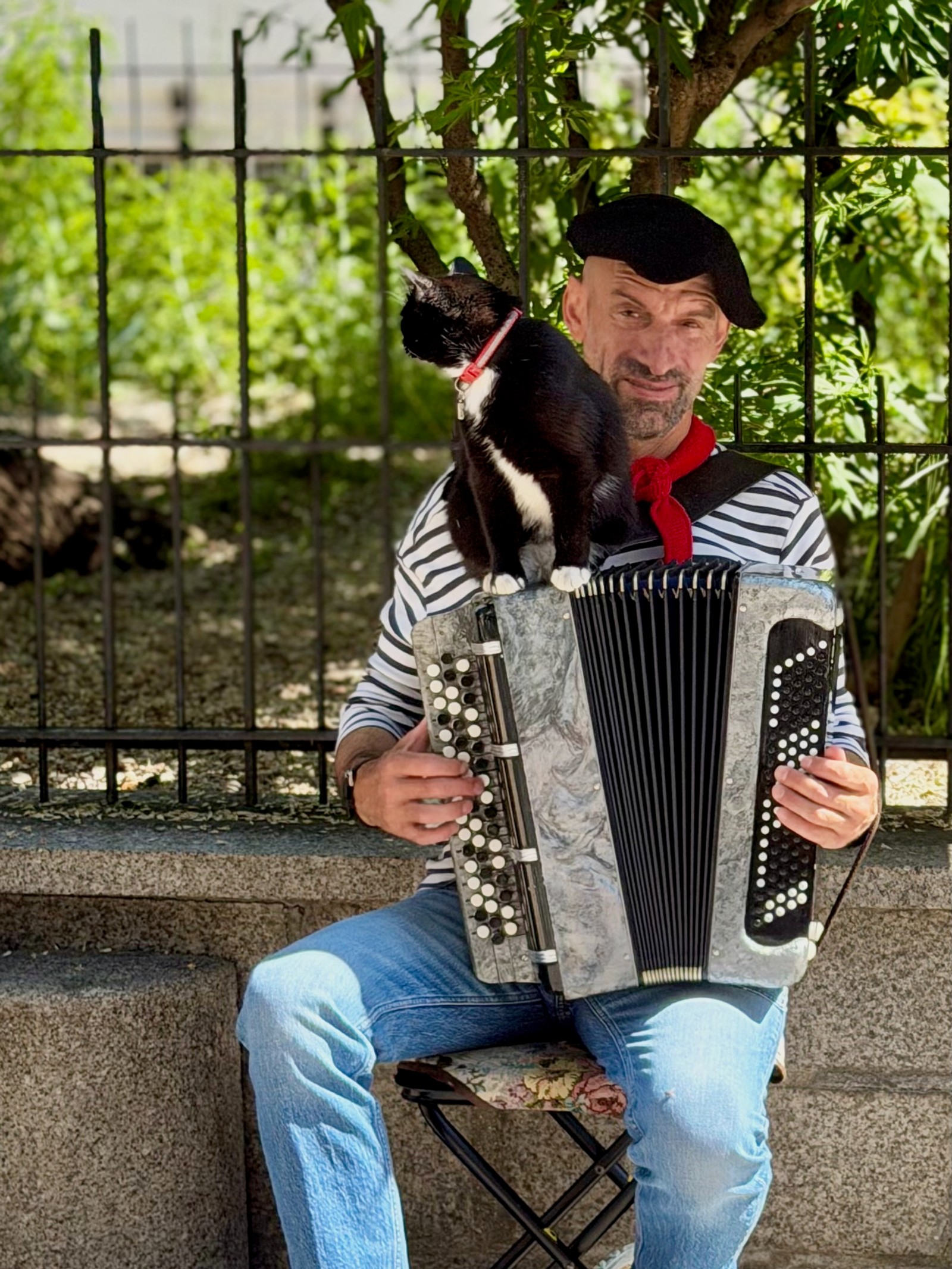 A French man playing an accordion with his cat