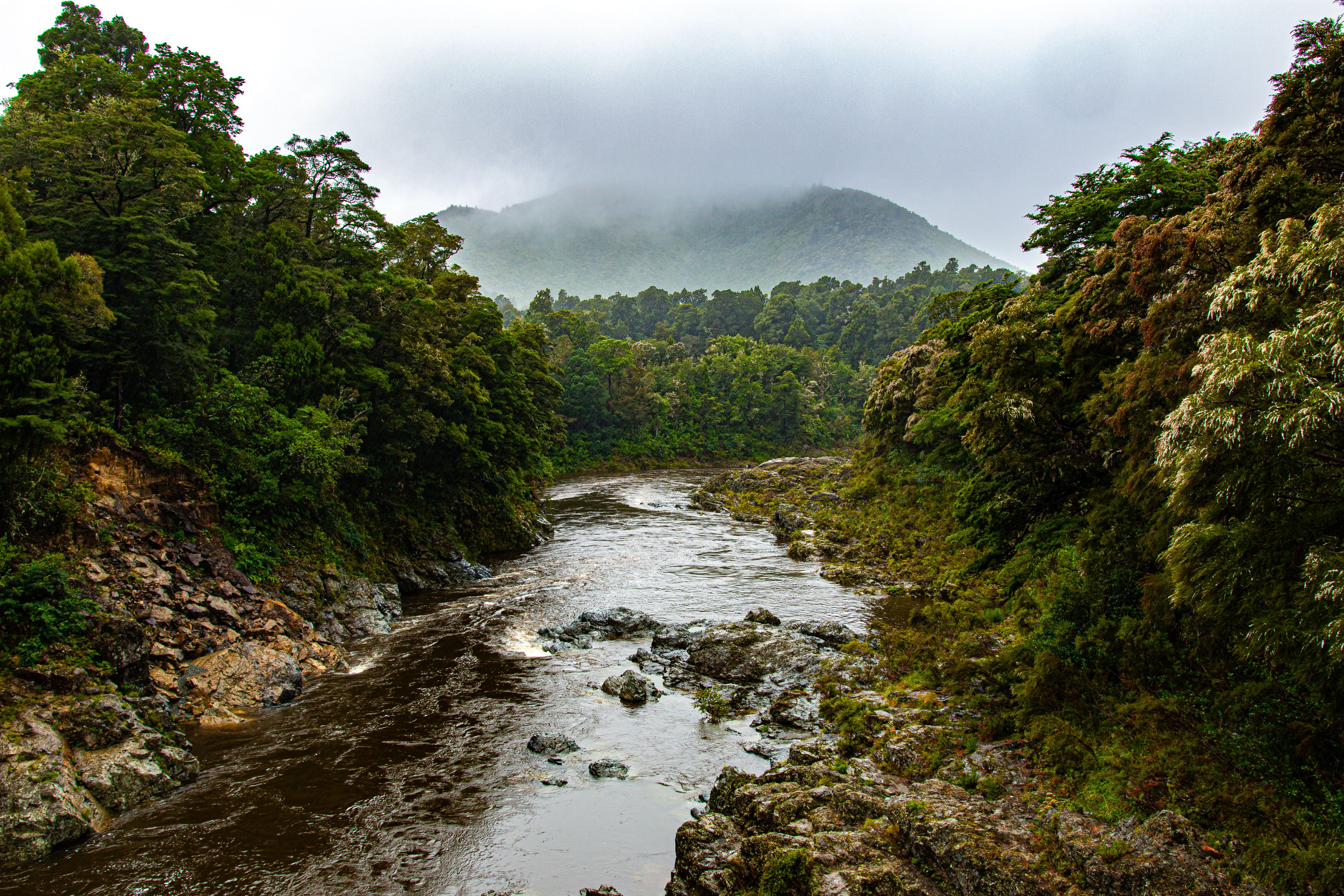 A misty river surrounded by forest on the road between Blenheim and Marlborough
