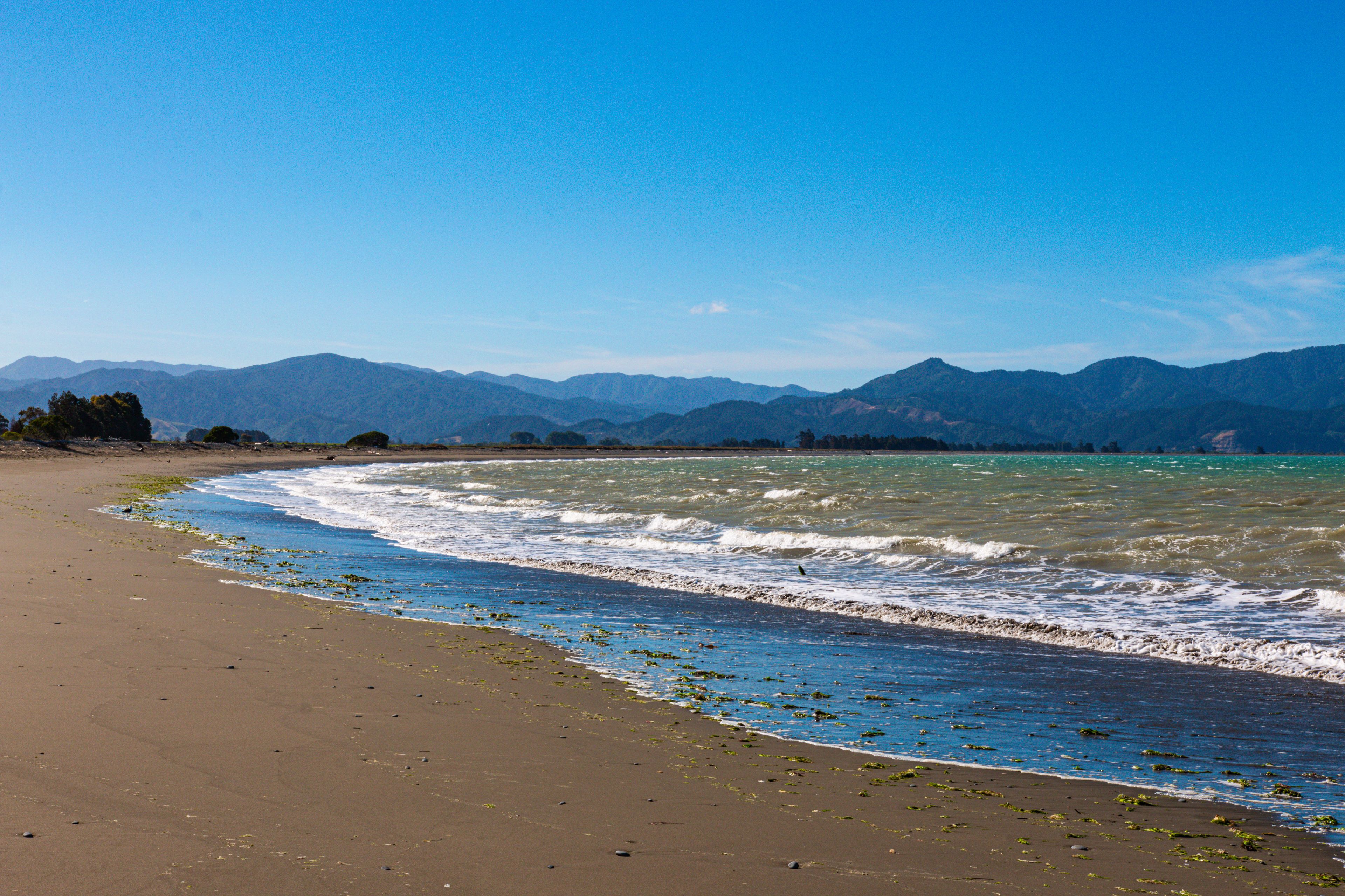 Beach view near Blenheim in New Zealand