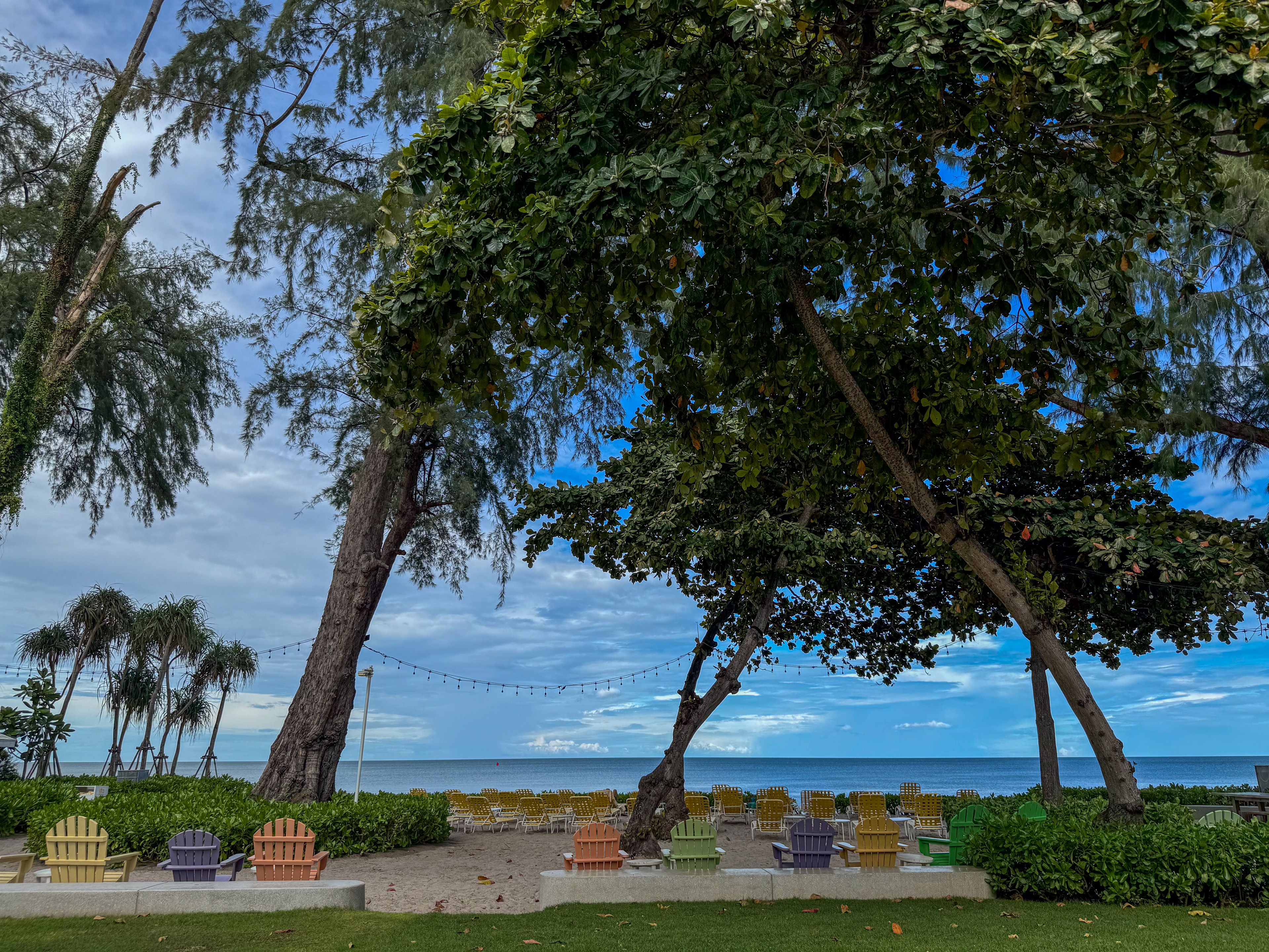 From the pool bar at The Standard