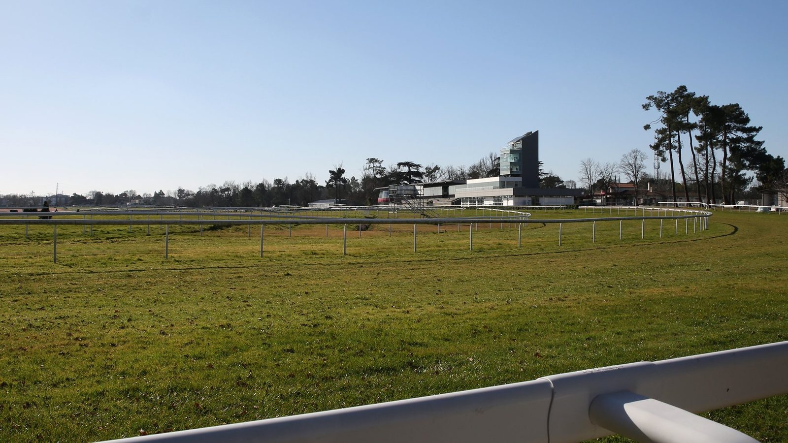 Piste en herbe et lices blanches de l'hippodrome du Bouscat, avec la tribune et une rangée de pins sous un ciel bleu