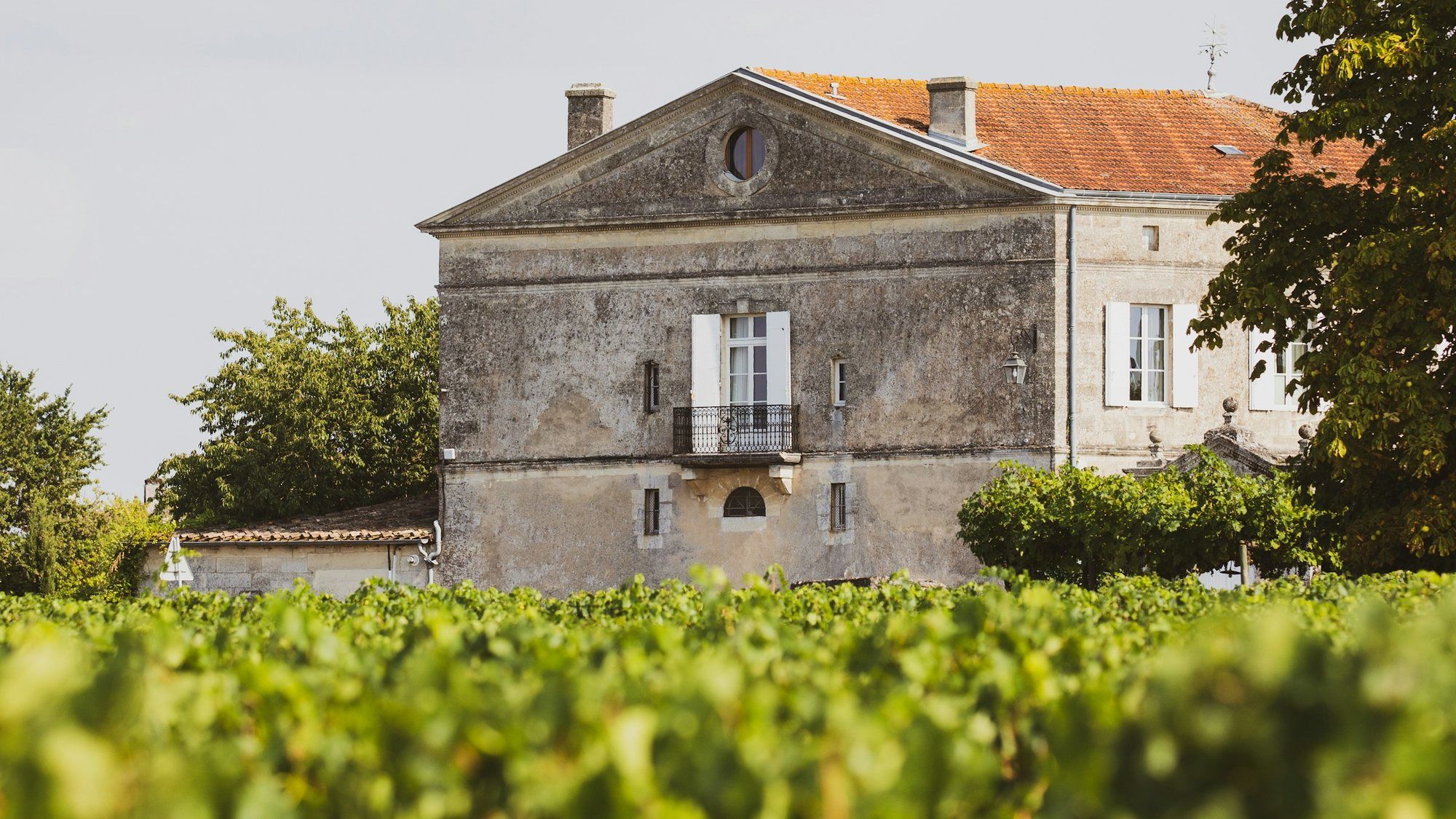 Maison de maître en pierre aux volets blancs et au toit de tuiles, derrière une rangée de vignes vertes