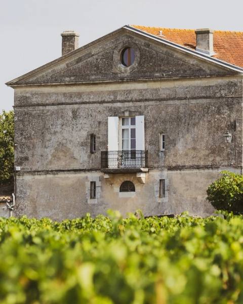 Maison de maître en pierre aux volets blancs et au toit de tuiles, derrière une rangée de vignes vertes