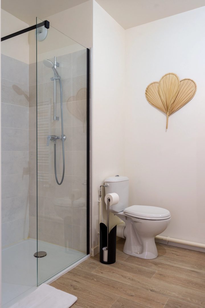 Douche à paroi vitrée et WC de la salle de bain