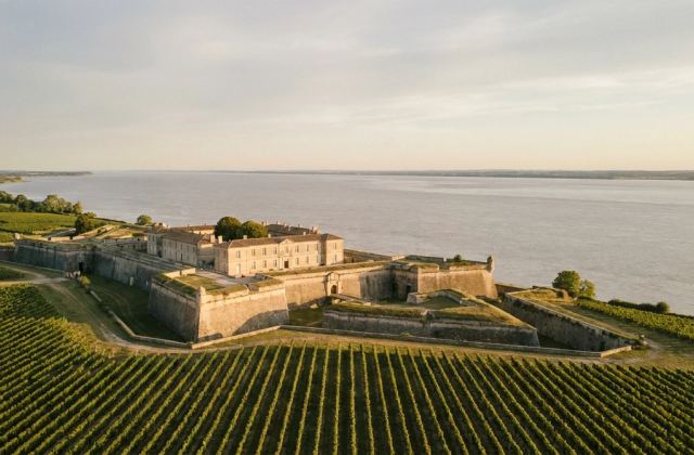 Citadelle Vauban de Blaye surplombant l'estuaire de la Gironde, vignes au premier plan, sous une lumière atlantique dorée