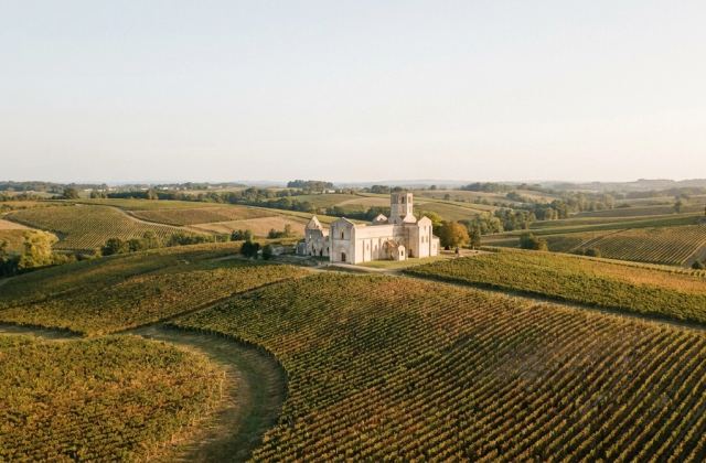 Paysage vallonné de vignes de l'Entre-deux-Mers et ruines romanes de l'abbaye de La Sauve-Majeure, sous une lumière atlantique dorée