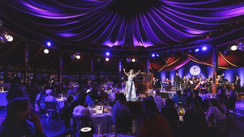 Strauss Dinner Show
