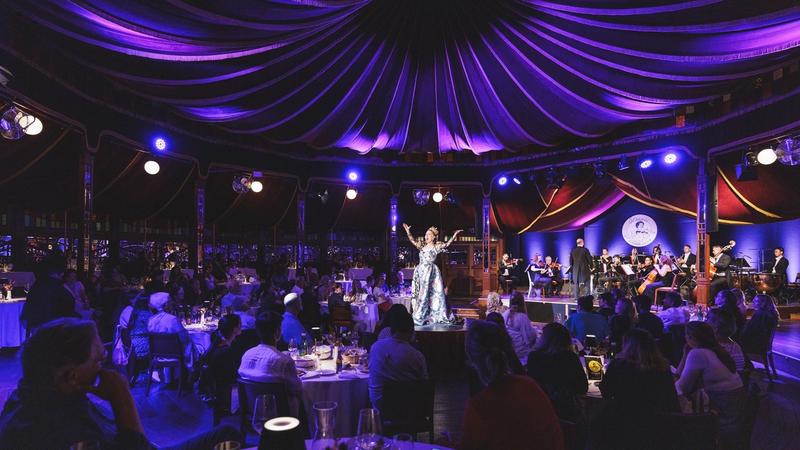 Strauss Dinner Show