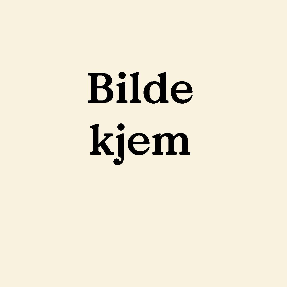Teksten Bilde kjem skrive med svarte bokstavar på lys bakgrunn