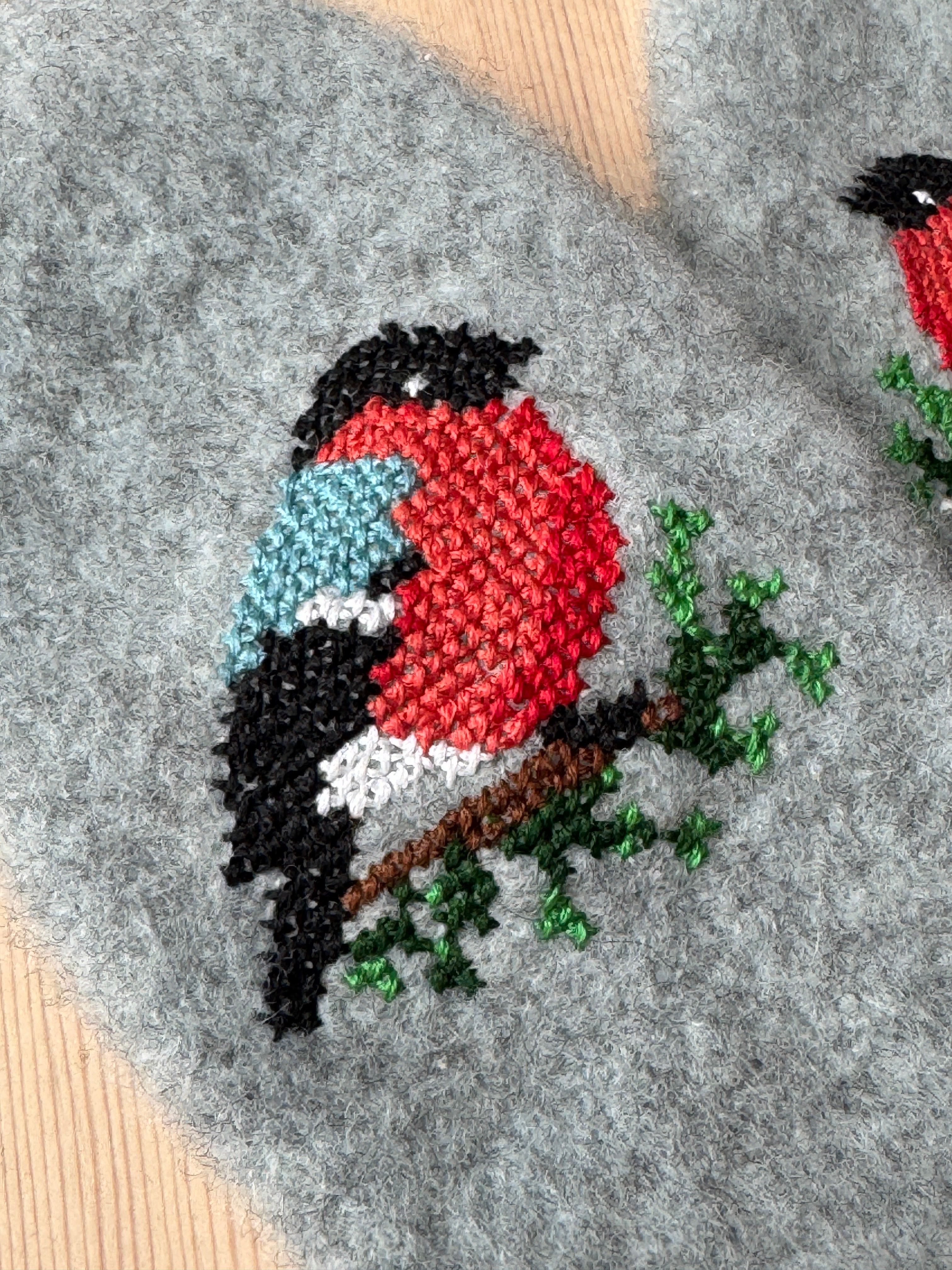 Tova vott med brodert dompap