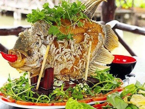 cá tai tượng