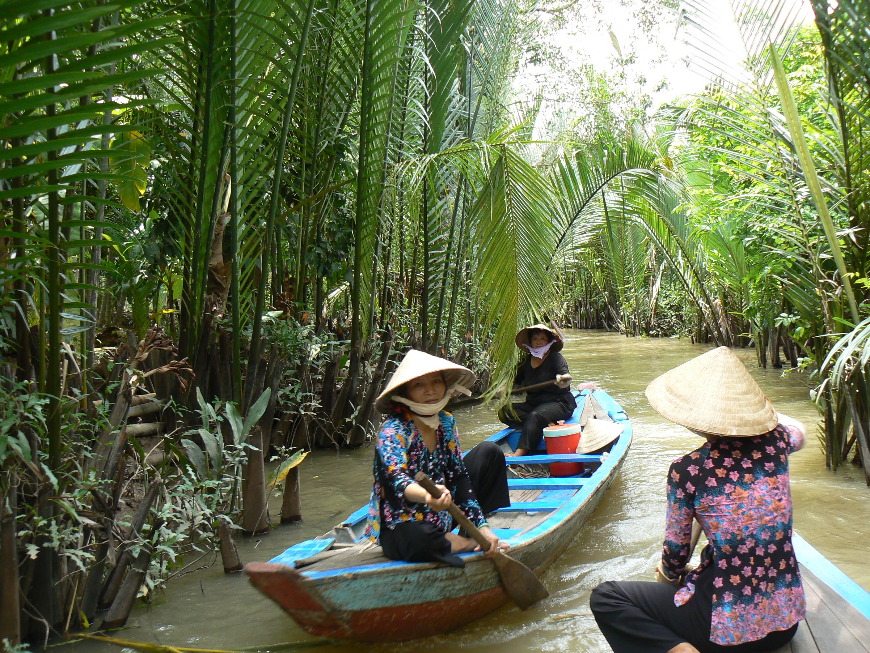 Rowing boat in a nipa palm canal
