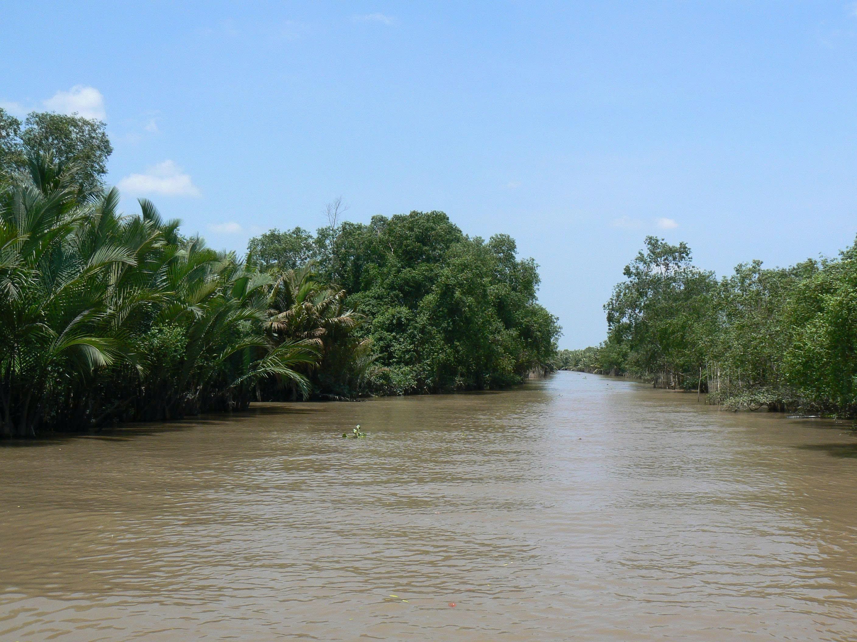 tour 3 cồn mekong