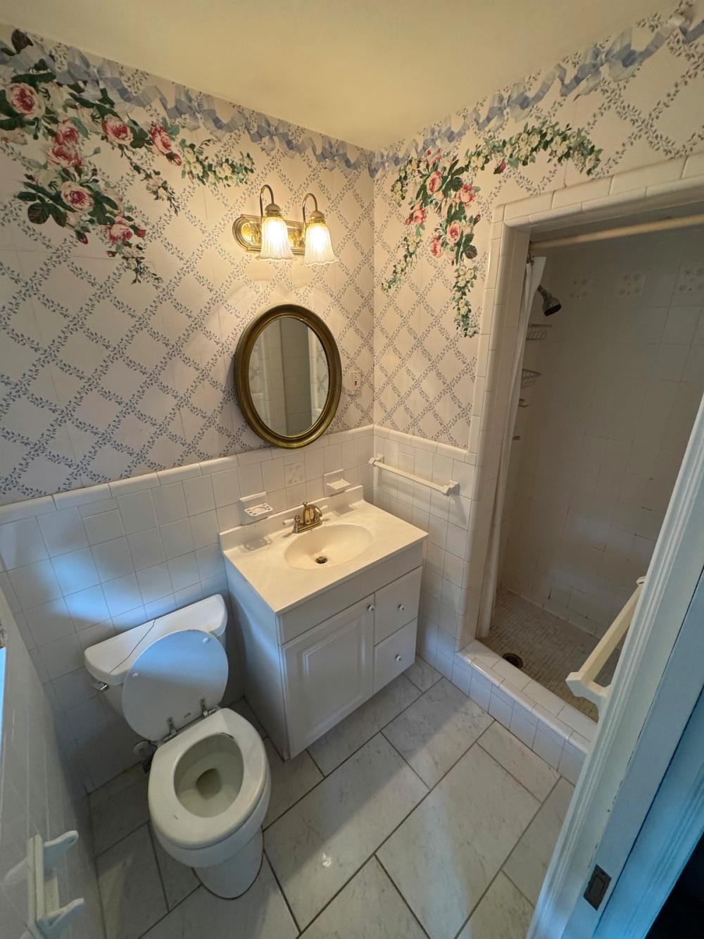 Elegant Colonial Bathrom, before