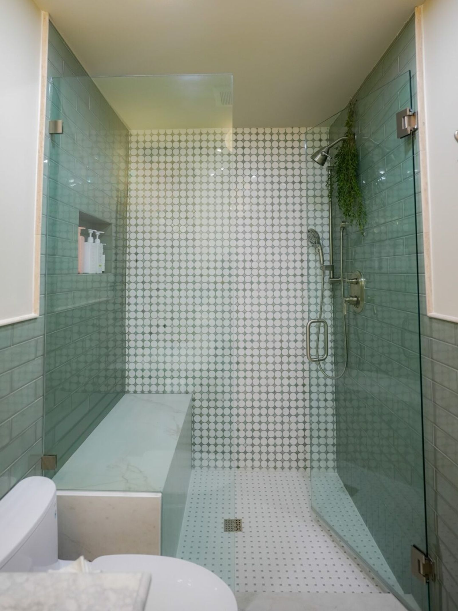 Luxury Spa-Inspired Master Bathroom Remodel, photo 1