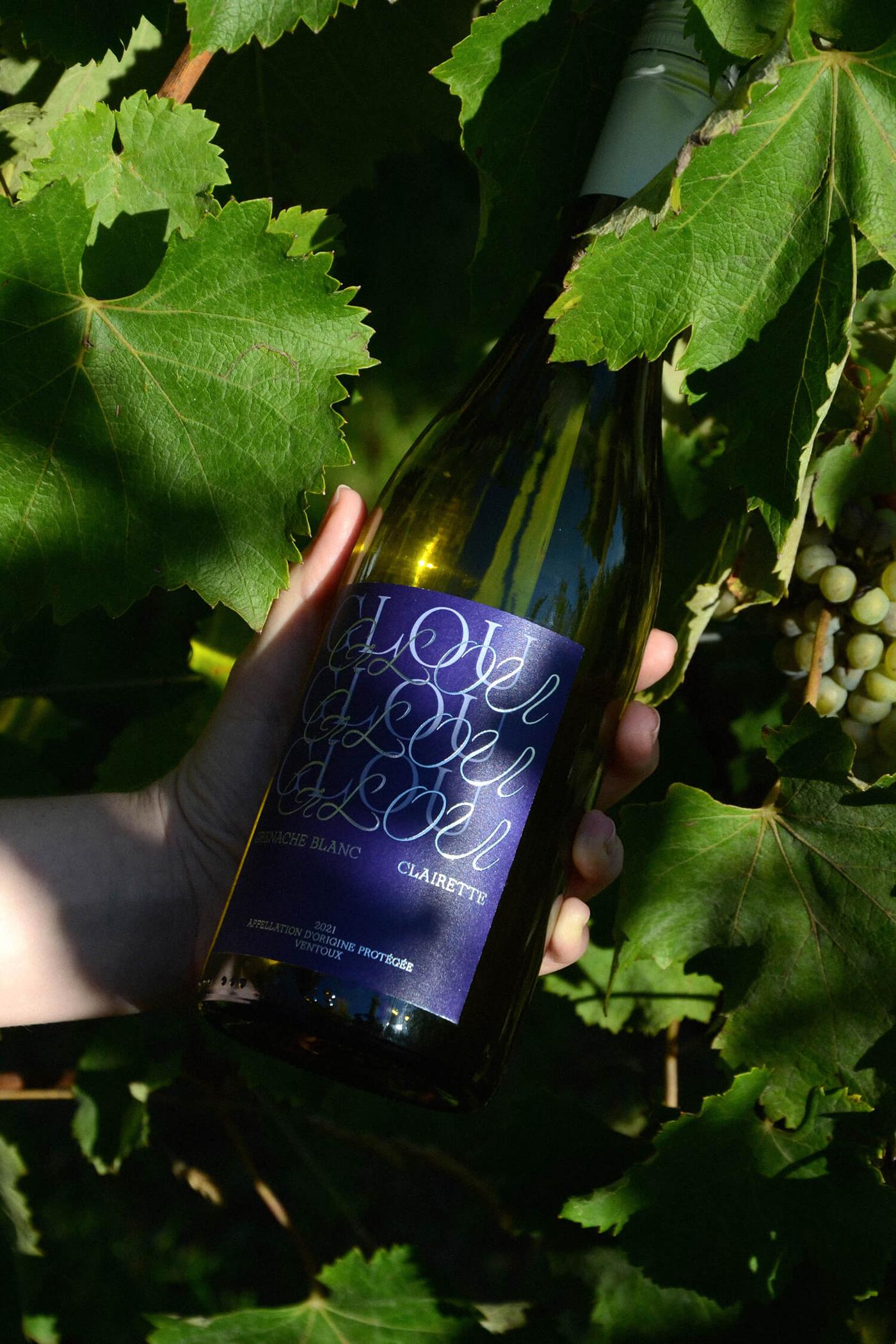A hand holding the Glou Glou bottle against a backdrop of grapevine leaves and clusters of green grapes, showing the full blue label with cursive lettering.