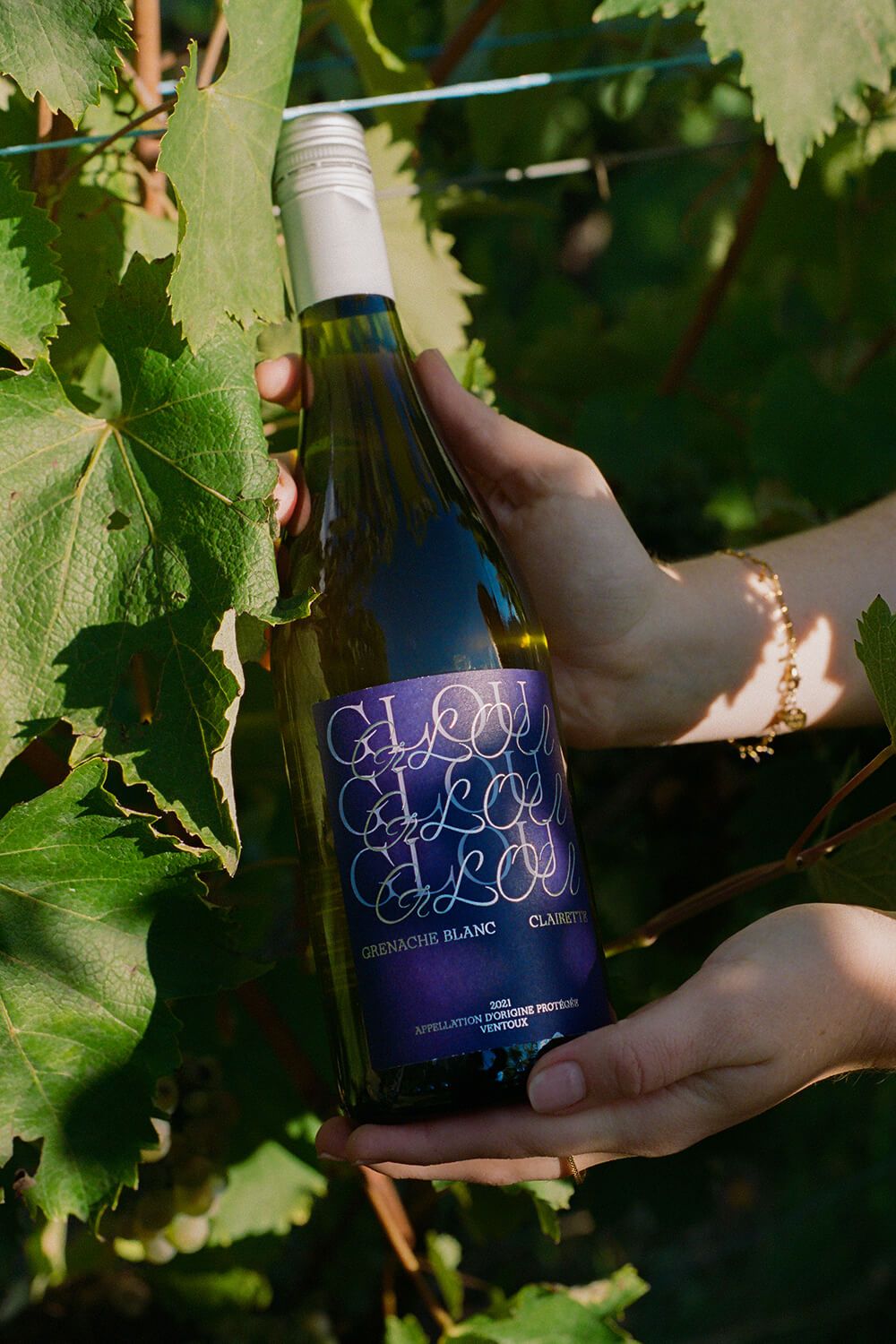 A hand holding a bottle of Glou Glou white wine up among vineyard leaves, showing the deep blue label with looping cursive script.