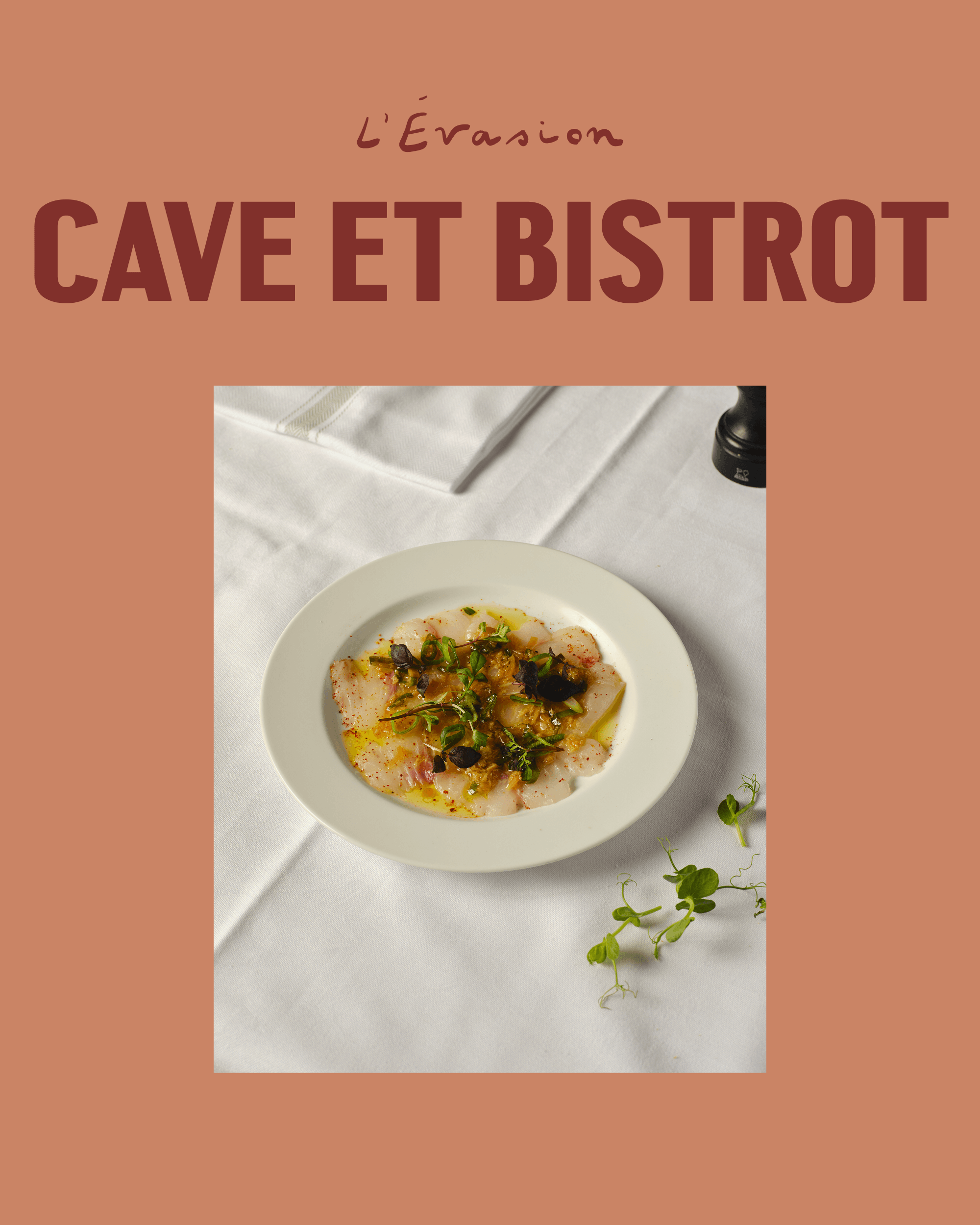 Terracotta social graphic reading "L'Évasion, Cave et Bistrot" above a photo of a plated fish dish with herbs.