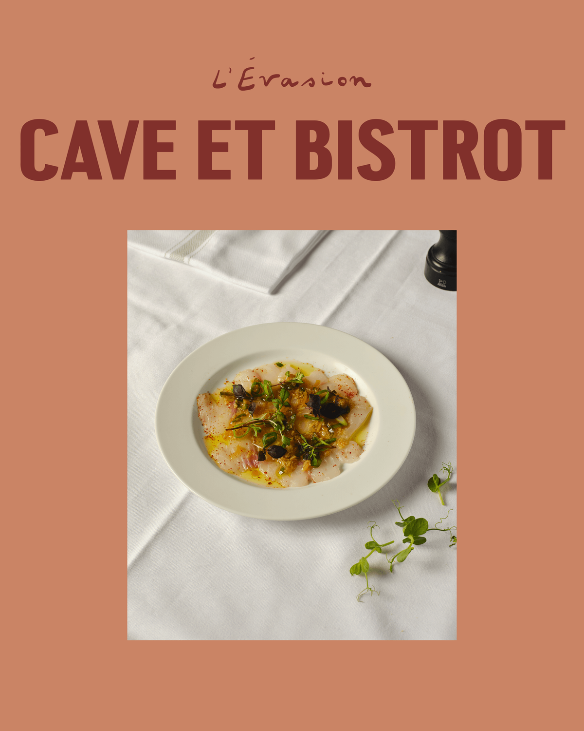 Terracotta social graphic reading "L'Évasion, Cave et Bistrot" above a photo of a plated fish dish with herbs.