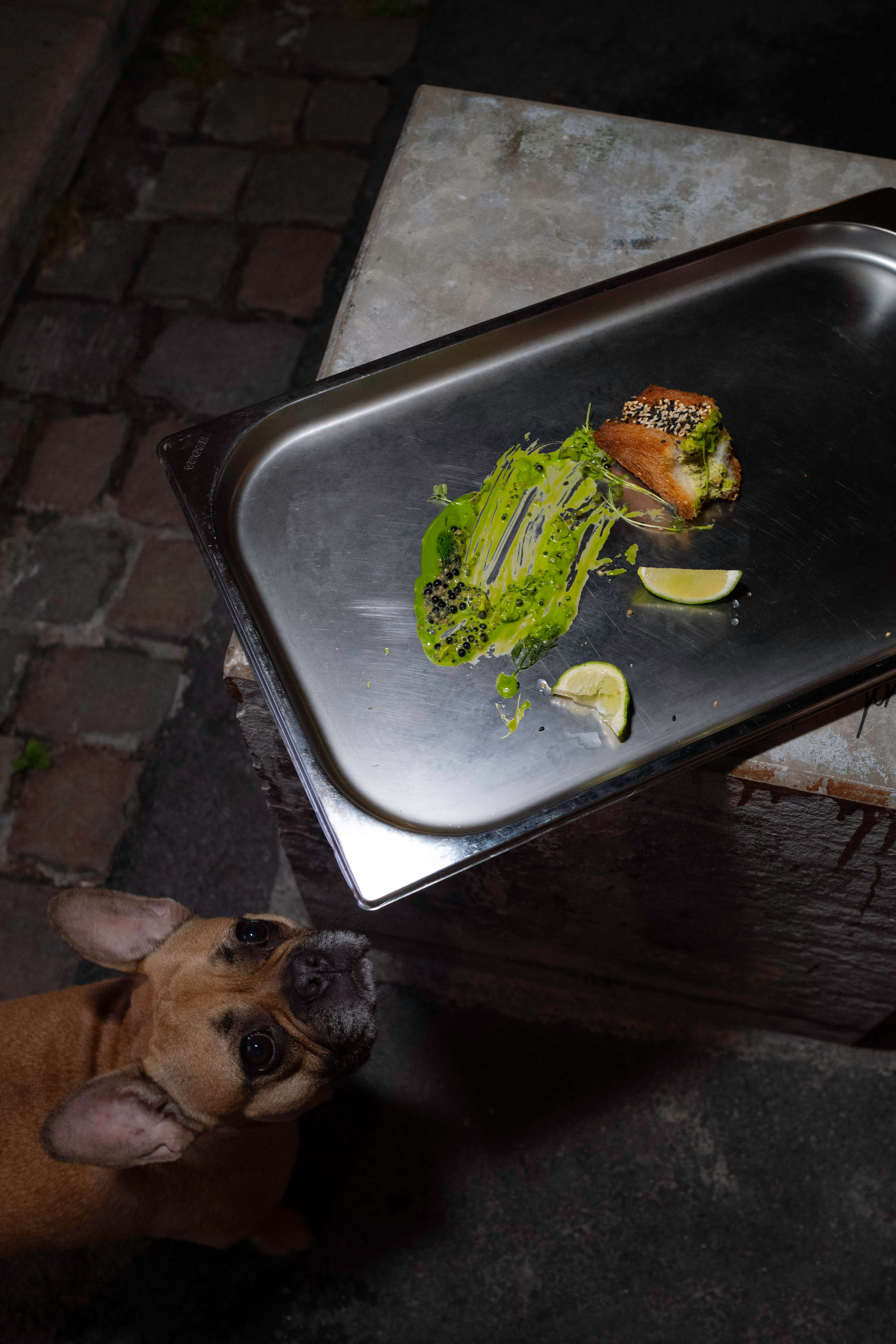Overhead shot of a small dish with green sauce, herbs, and citrus wedges on a metal tray, with a curious dog looking up from below.