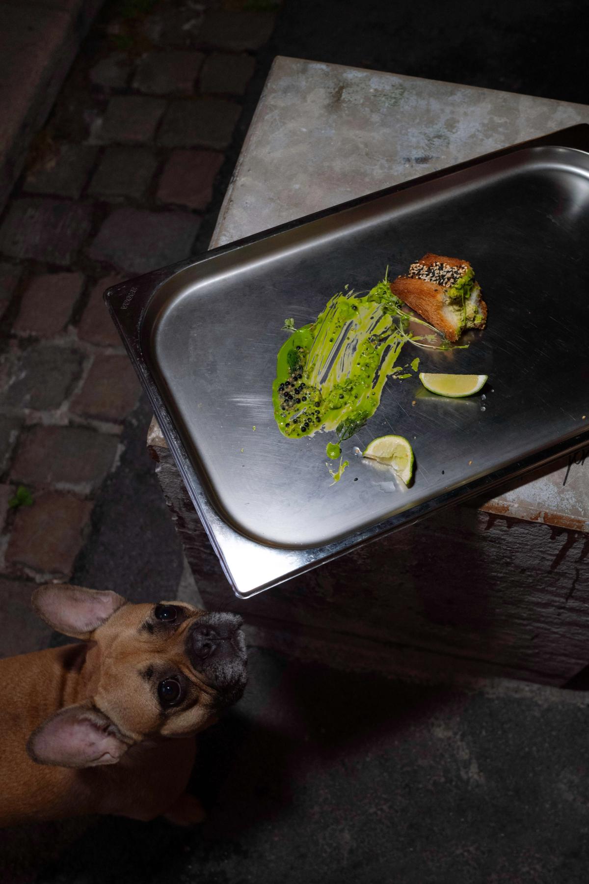 Overhead shot of a small dish with green sauce, herbs, and citrus wedges on a metal tray, with a curious dog looking up from below.