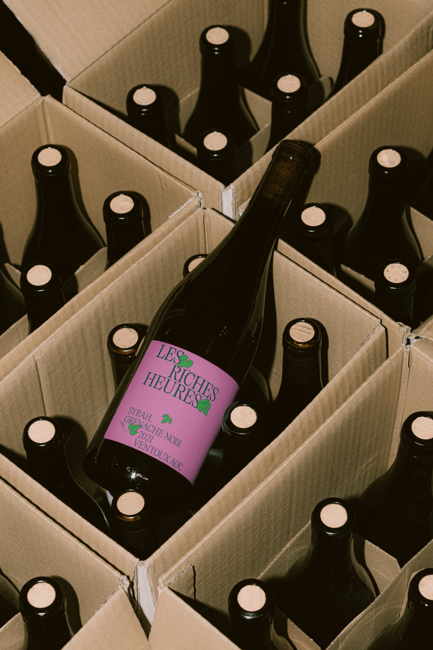 Overhead view of wine bottles packed into cardboard shipping compartments, one showing the Overhead view of wine bottles packed into cardboard shipping compartments, one showing the fuchsia label. label.