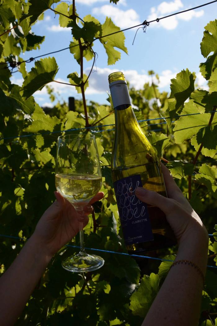 Bottle and glass of poured white wine held up together in the vineyard under string lights and a partly cloudy sky.