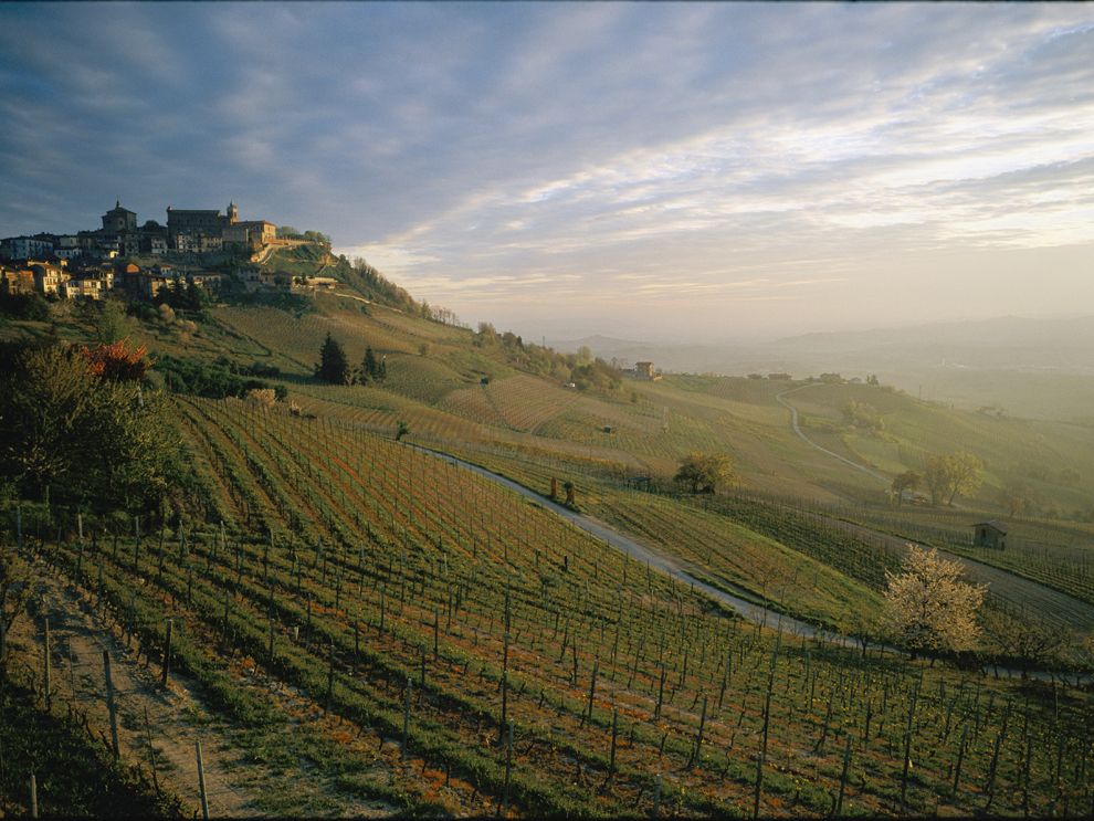 The View from the Middle