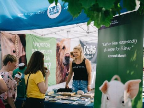 Bilde av NOAHs stand på festival, med NOAH-representant bak bordet, og besøkende foran