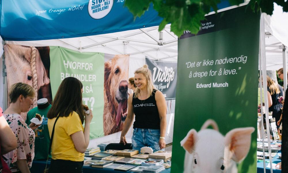 Bilde av NOAHs stand på festival, med NOAH-representant bak bordet, og besøkende foran