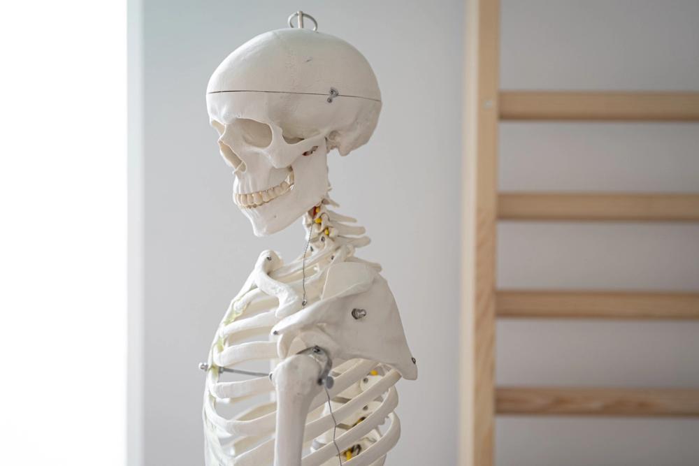 Physiotherapie Sascha Niels Breuning - Masonry 9