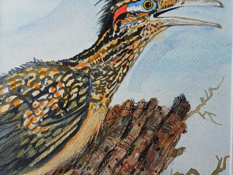 Watercolor and pastel painting of a Texas roadrunner perched on a weathered stump