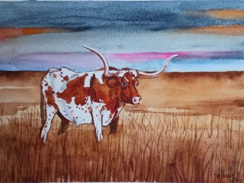 Longhorn at dusk on open Texas prairie