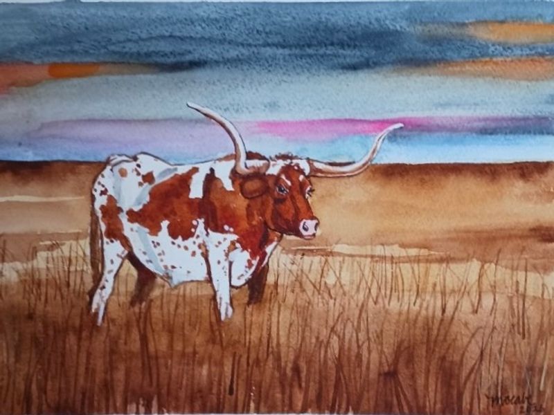 Longhorn at dusk on open Texas prairie