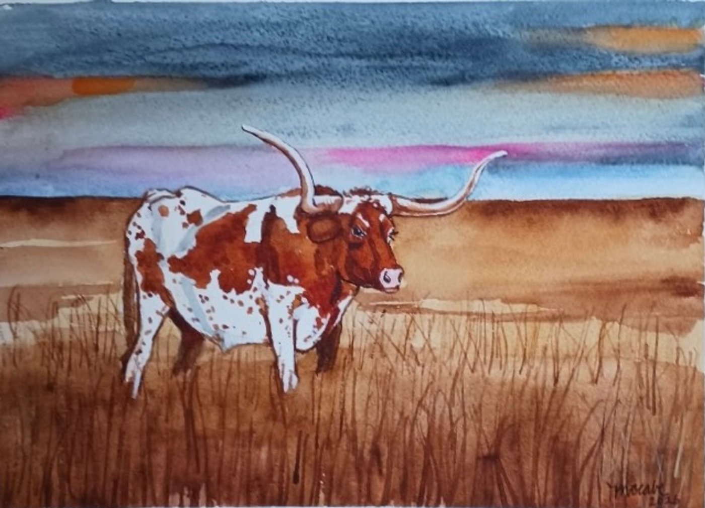 Longhorn at dusk on open Texas prairie