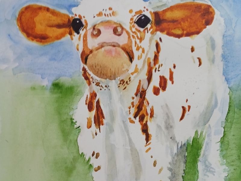 Cute baby calf
