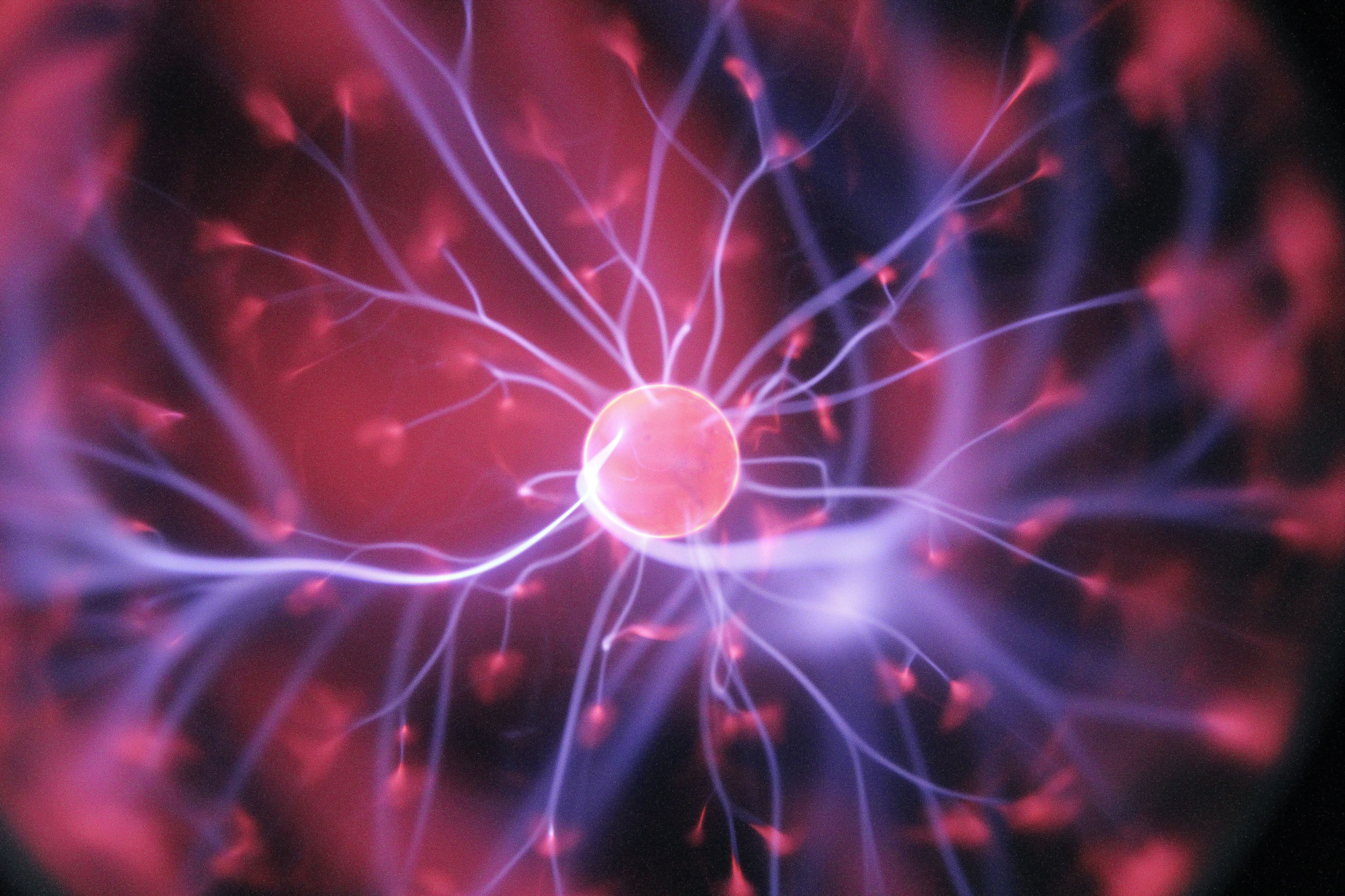 Drugs, Brains, and Behavior: The Science of Addiction: Preface
