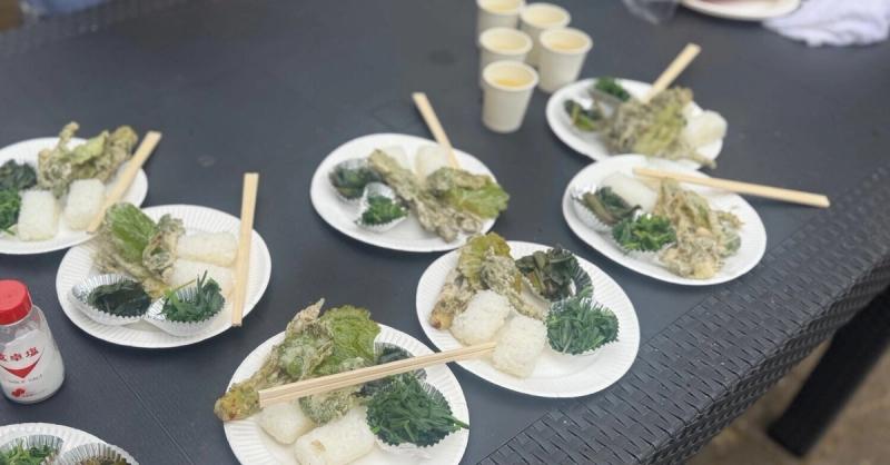 2026年5月8日 イベントの写真【おいしい山菜・野草の見分け方「天ぷらにして食べてみよう」】