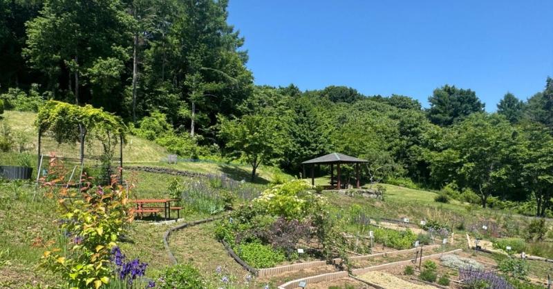 2025年6月5日 イベントの写真【榛名平公園観察会・夏野菜の管理法】 