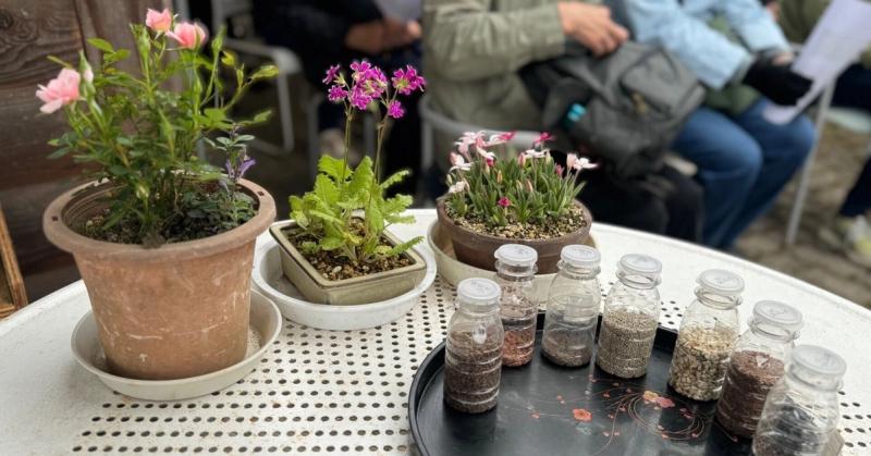 🌿薬草園🌿　2024年前半のイベントのお知らせ