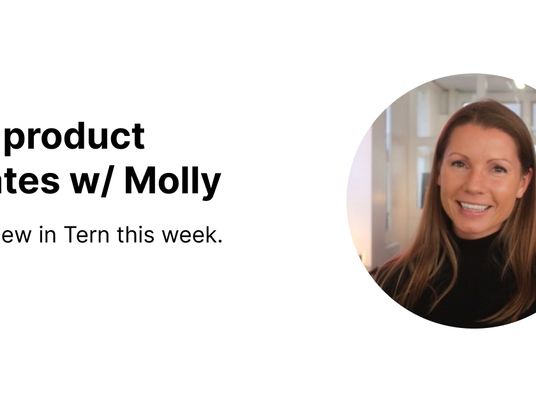 Tern Product Updates - February 5, 2024