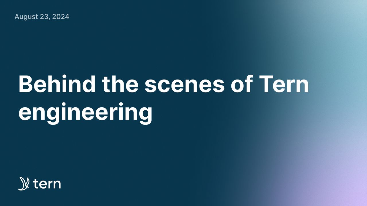 Behind the scenes of Tern engineering