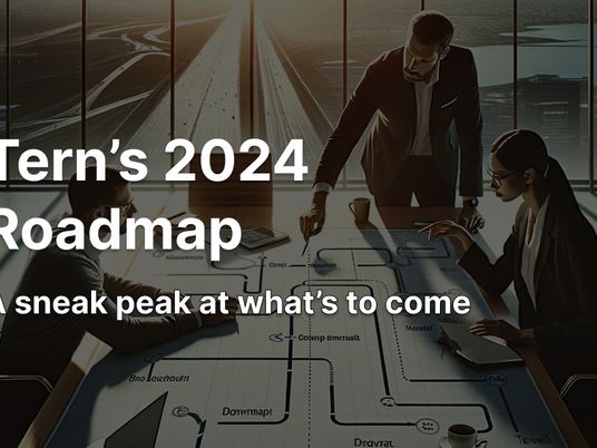 The problems we want to solve in 2024: A sneak peek at Tern's 2024 roadmap