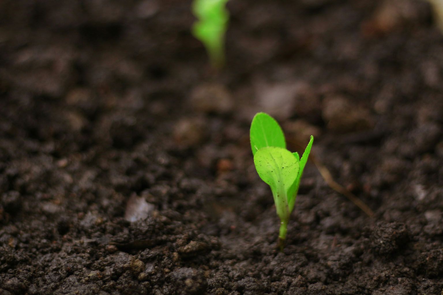 Arya Health Raises $4 Million Seed Funding